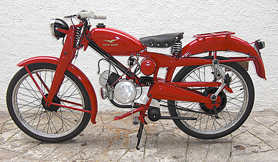 Cardellino65-1955_01.jpg