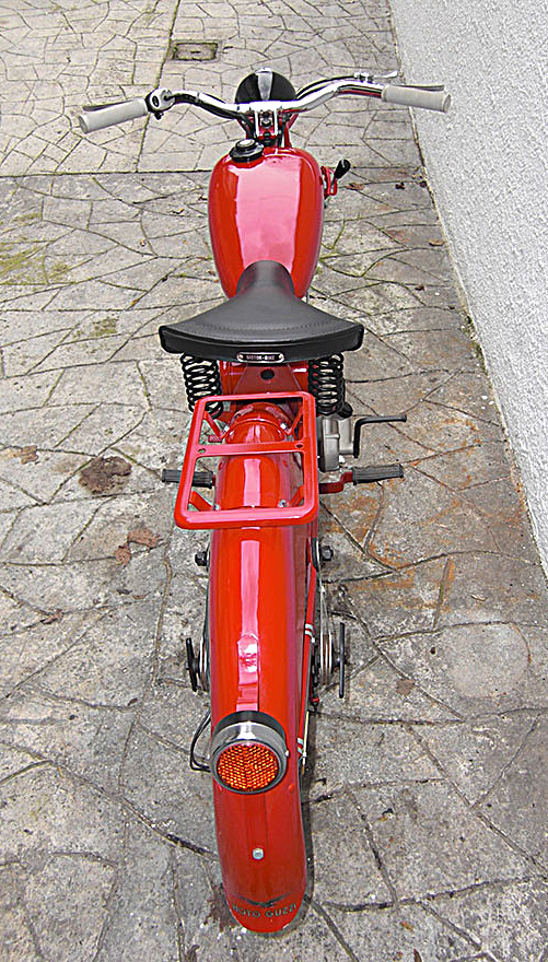 Cardellino65-1955_05.jpg