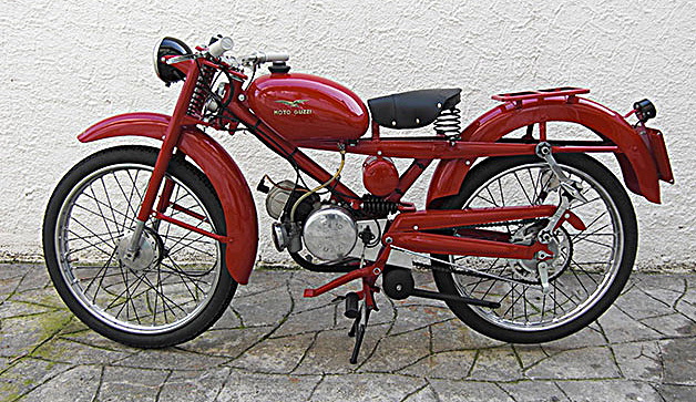 Cardellino73-1958_01.jpg