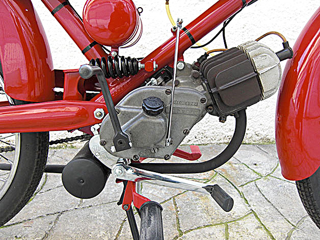 Cardellino73-1958_06.jpg